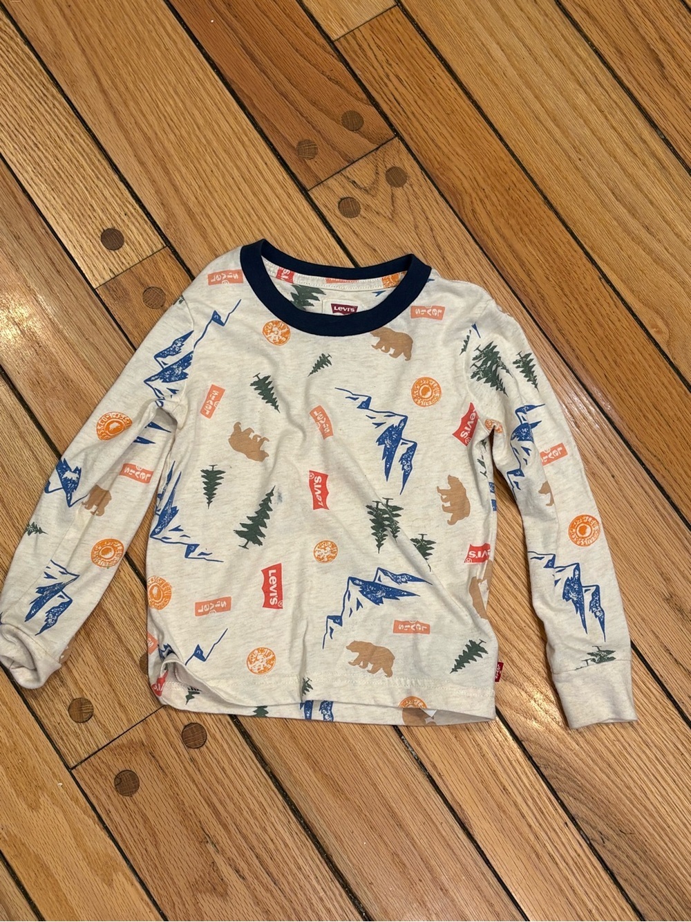 Levi's Kids Cream Graphic Mountain & Bear Long Sleeve Tee 4T